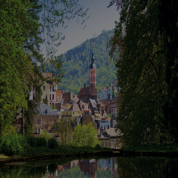 image (1)
